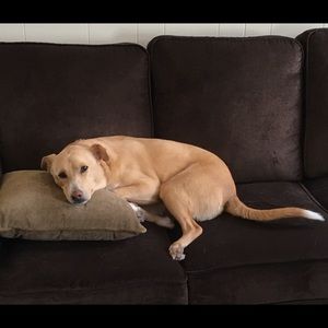 Meet your Posher, Jonathan